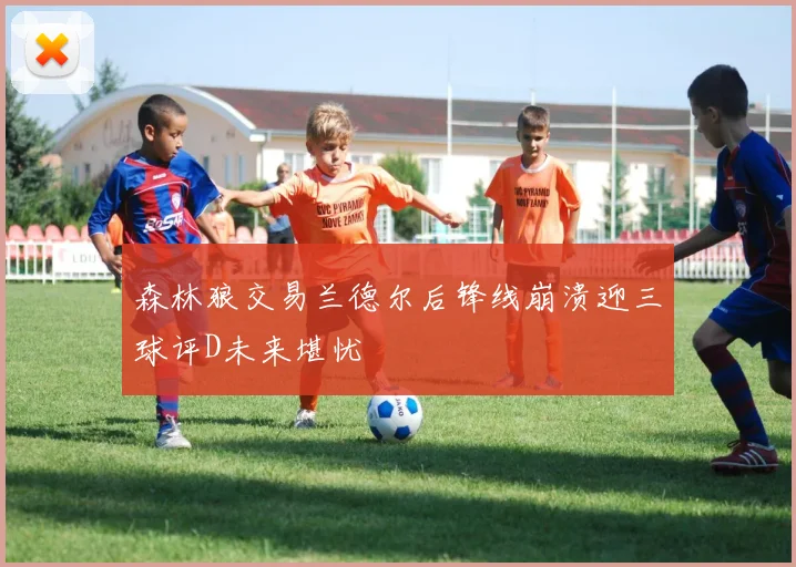 森林狼交易兰德尔后锋线崩溃迎三球评D未来堪忧
