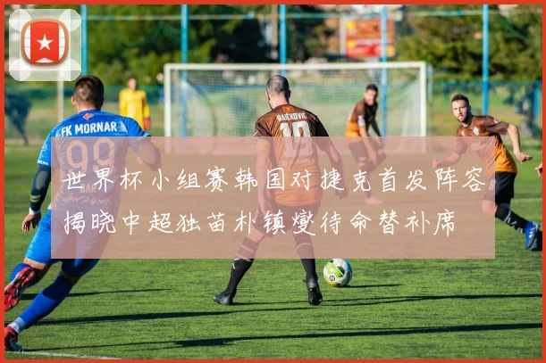 世界杯小组赛韩国对捷克首发阵容揭晓中超独苗朴镇燮待命替补席